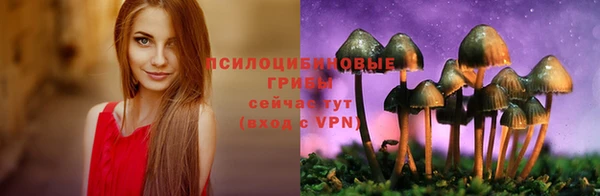 кокаин Гусиноозёрск