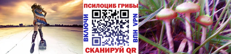 Купить  Крым  Псилоцибиновые грибы Psilocybe 